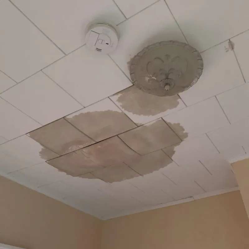 Ceiling Water Damage Repair in Lac qui Parle County, MN