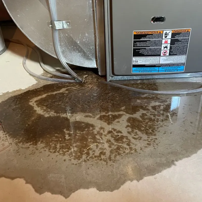 Pipe Burst and Leak Restoration in Lac qui Parle County, MN