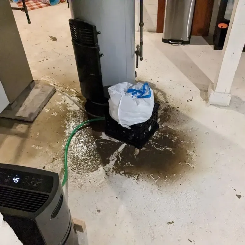 Sewage Backup Cleanup Service in Lac qui Parle County, MN